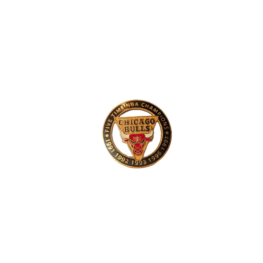 Chicago Bulls Pin